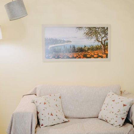 Best House, Rooftop Aprtm., Marina Zeas Piraeus Bagian luar foto
